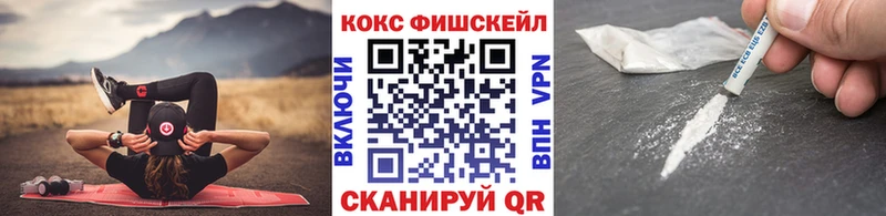 Кокаин Fish Scale  Купить закладки  Сегежа 