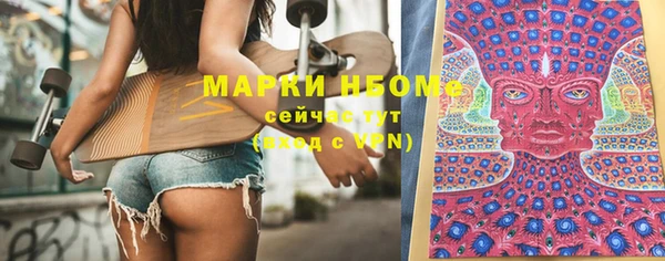 индика Ростов