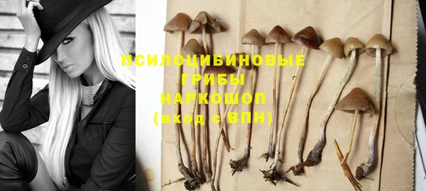 ECSTASY Приозерск