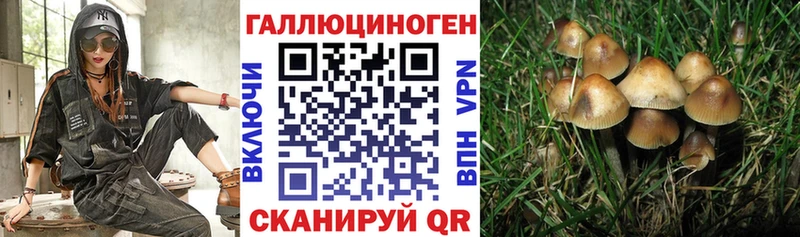 Псилоцибиновые грибы Cubensis  Купить закладки  Сегежа 