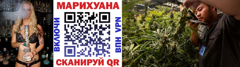 Бошки марихуана VHQ Сегежа